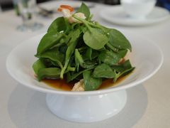 醋汁田七苗-逸道(益丰·外滩源店)
