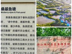 -丝绸小镇荻港古村