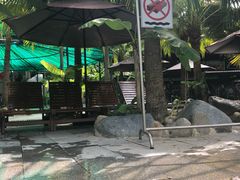-100蛋泥浆浴