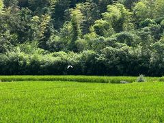 -东明山森林公园