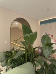 点击看大图 -LIHER北京丽合医疗美容医院