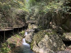 -东天目山风景区