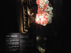 -深圳珠宝博物馆