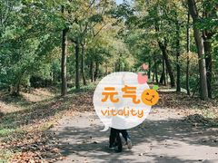 -上海海湾国家森林公园