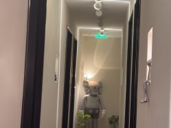 -玛莲朵·海菲秀冰珀科