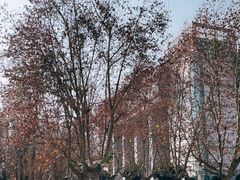 -四川农业大学(雅安校区)