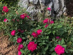 -人民公园(罗湖区)