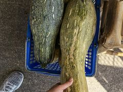 -亮河湾山庄
