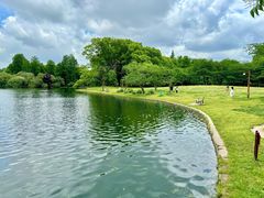 -上海共青森林公园