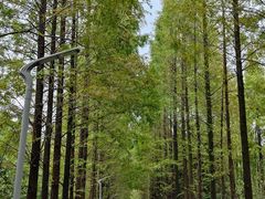 -昆山城市生态森林公园