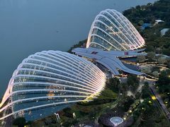 -RISE RESTAURANT(滨海湾金沙店)