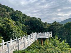 -阳台山森林公园