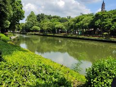 -顺峰山公园
