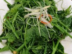 -巴依老爷新疆美食(望京小街店)