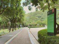 -顺峰山公园