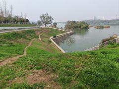 -灞河西岸滨河公园