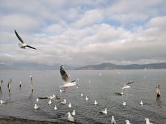 -丽江泸沽湖景区