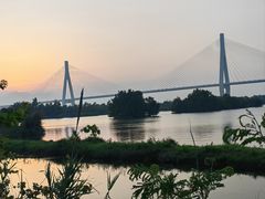 -芒洲湿地公园