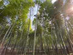 -天目湖御水温泉·度假酒店