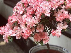 -汇龙潭