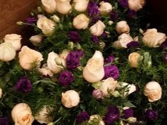 iphone_upload_pic-广州花园酒店