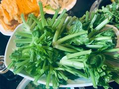 菠菜根-葛记红焖羊肉(和平路形象店)