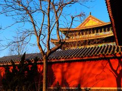 -天津妈祖文化园