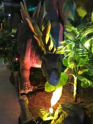 -恐龙探索乐园(磁器口店)