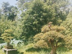 -盆景园(扬州大运河文化旅游度假区)