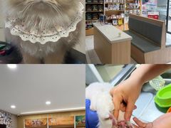 -艾贝尔宠物医院·24H转诊中心·肿瘤猫专科(江宁双龙店)
