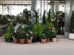 -三圣花乡旅游区