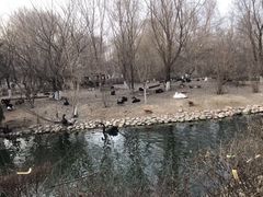 -长白岛森林公园