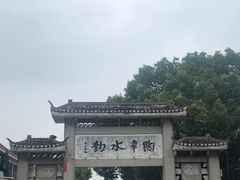 -陶辛水韵