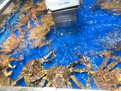 -盒马鲜生(顺义店)