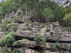 -梭布垭石林景区