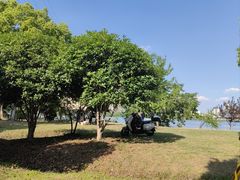 -金银湖国家城市湿地公园