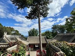 -龙庆峡风景区