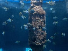 -厦门海底世界