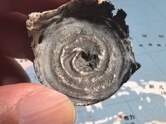 -三峡古玩城(泰古广场店)