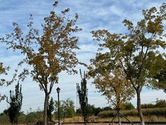 -永定河休闲森林公园