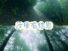 -西湖风景区十里琅珰-五云山