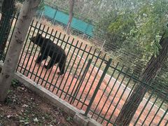 -秦皇岛野生动物园
