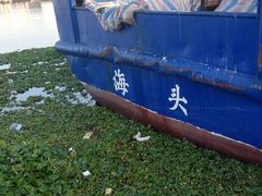 -小洋口旅游度假区