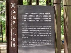 -日照海滨国家森林公园