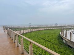 -东疆建设开发纪念公园