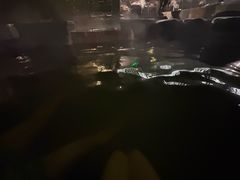 -花水湾第一村温泉大酒店