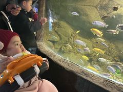 -苏州海洋馆