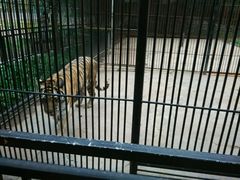 android_upload_pic-罗庄动物园