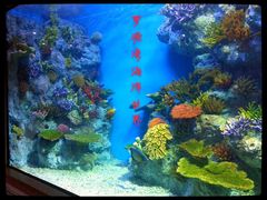 海洋世界-福州罗源湾海洋世界旅游区