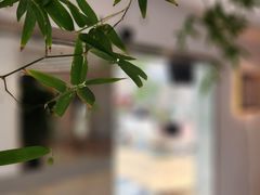 -九献创意菜(亮马河花园店)